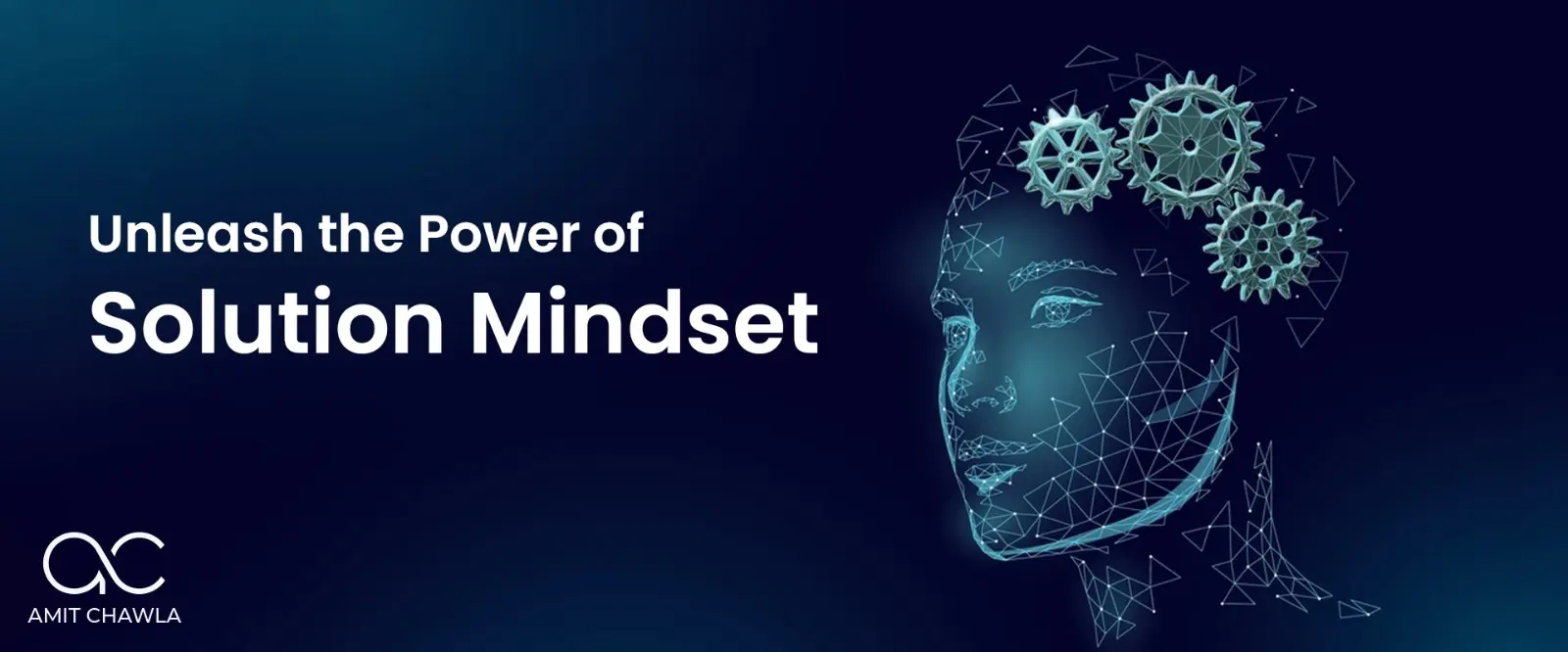 Read more about the article Chapter 3- Unleash the Power of Solution Mindset